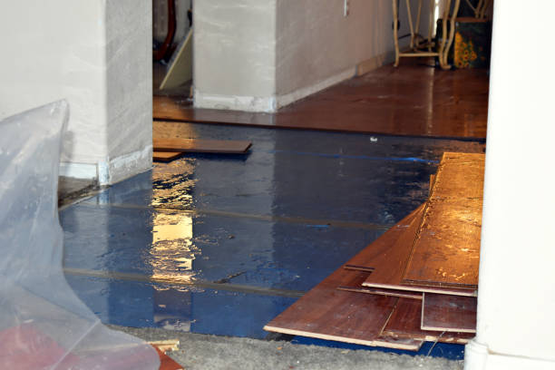 Professional Water Damage Restoration technician working in Moberly, MO